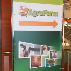 Анна Филатова на выставке AgroFarm2018